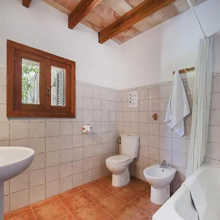 Palmeras Villa Pollenca