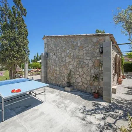 Palmeras Pollenca