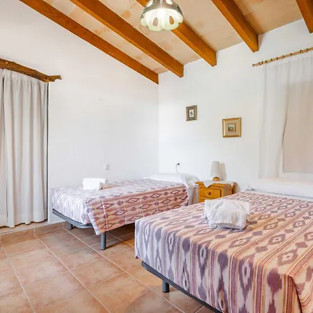 Palmeras Villa Pollenca