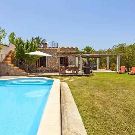 Palmeras Pollença