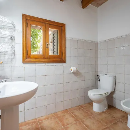 Palmeras Villa Pollença